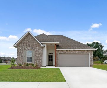 Eden Lake by DSLD Homes in Crestview - image