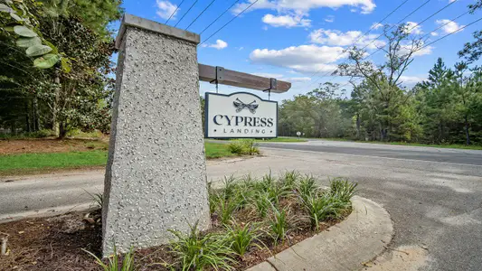 Cypress Landing by D.R. Horton in Hardeeville - image