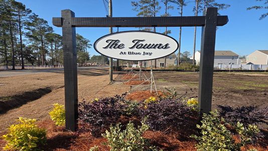The Towns at Blue Jay by D.R. Horton in Rincon - image