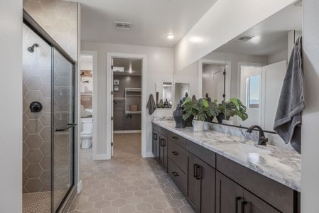 The Grove at El Cidro by William Ryan Homes in Goodyear - photo 73 73