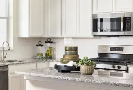 Rough Hollow: Grandview Collection at The Vineyards by Lennar in Austin - photo 10 10