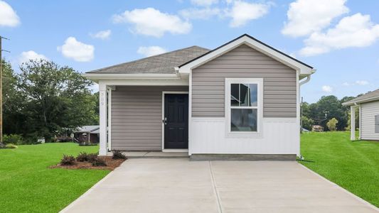Village 3 by D.R. Horton in Woodruff - image
