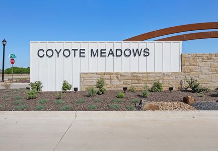 Coyote Meadows by Starlight Homes in Anna - image