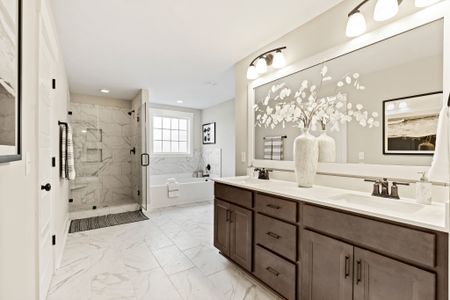 Belvedere Plantation by Stevens Fine Homes in Hampstead - image 8