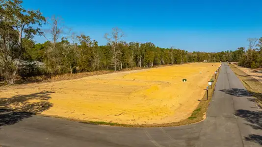 Prosperity Point by Herbst Homes in Milton - image 12