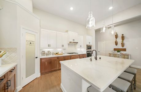 Amira: Hilltop Collection by Beazer Homes in Tomball - photo 13 13