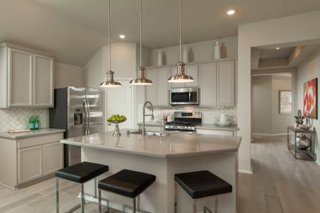 Grand Mission Estates by Coventry Homes in Richmond - image 7