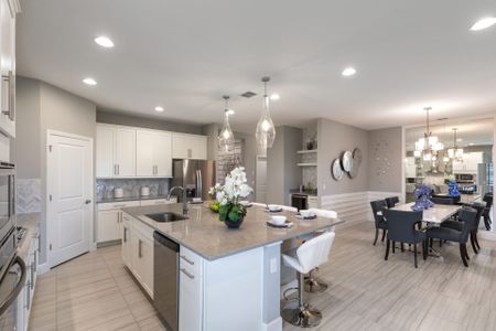 Summerdale Park at Lake Nona by Dream Finders Homes in Orlando - photo 20 20