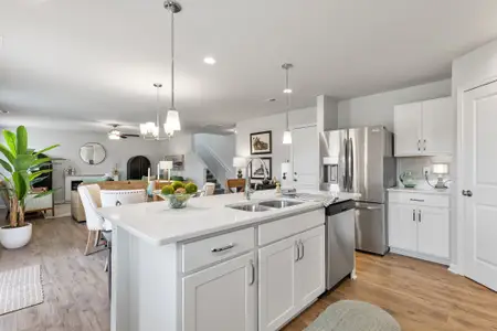 Kennedy's Crossing by Dream Finders Homes in Stem - photo 0