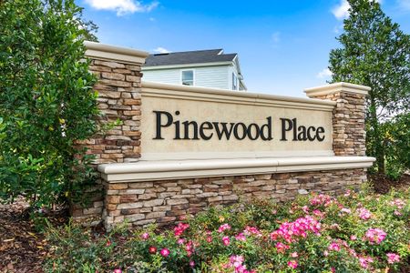 Pinewood Place by KB Home in Middleburg - photo 0