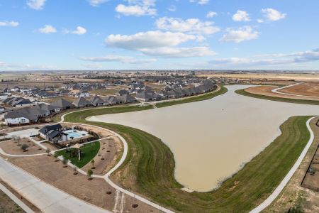 Oakwood Estates by David Weekley Homes in Waller - image 5
