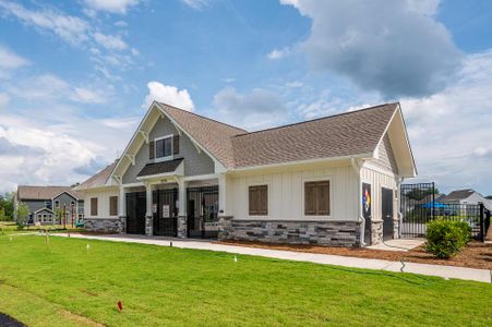 Encore at Harmony by David Weekley Homes in Harrisburg - image 12