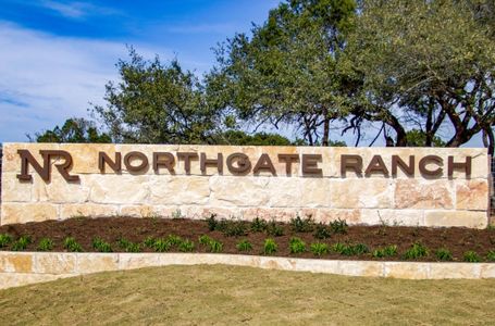 Northgate Ranch by Drees Custom Homes in Liberty Hill - photo 1 1