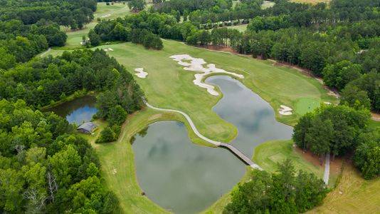 Heritage Pointe at The Georgian by Artisan Built Communities in Villa Rica - photo 5 5