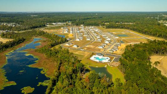 Carolina Groves Townhomes by D.R. Horton in Moncks Corner - photo 1 1