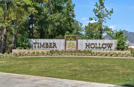 Timber Hollow by Beazer Homes in Magnolia - photo 0