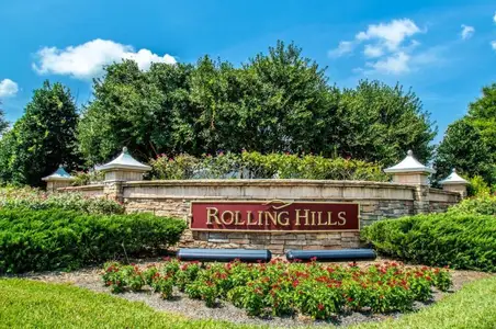 Rolling Hills Ranch by Pulte Homes in Green Cove Springs - image