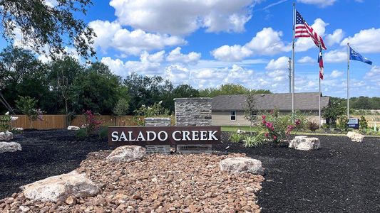 Salado Creek by D.R. Horton in San Antonio - photo 1 1