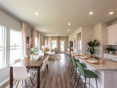 Sweetwater Green - Royal Series by Meritage Homes in Lawrenceville - photo 8 8