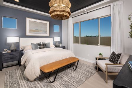 Verdin Discovery Collection 8