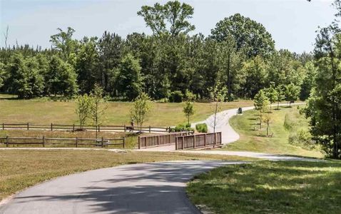 Paddington Station at Knightdale Station by Dream Finders Homes in Knightdale - photo 3 3