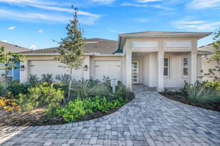 Tamarack at Two Rivers by William Ryan Homes in Zephyrhills - photo 2 2