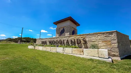 The Woodlands at Medina Hills by D.R. Horton in Mico - image