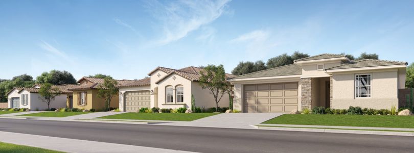 Asante Artisan: Discovery by Lennar in Surprise - photo 0 0