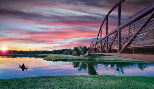 Bridgeland: 40ft. lots by Highland Homes in Cypress - photo 5 5