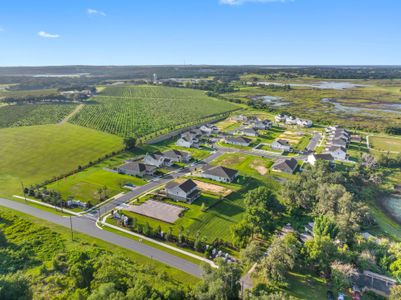 Vintner Reserve by Beazer Homes in Clermont - image