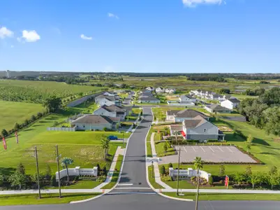 Vintner Reserve by Beazer Homes in Clermont - image 13