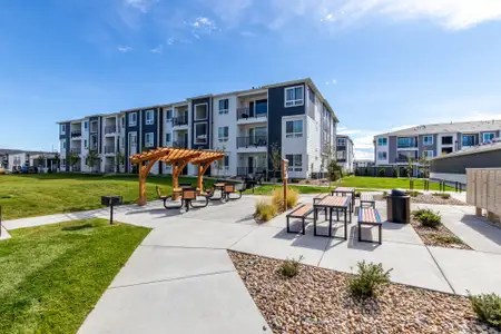 Gateway Commons by Lokal Homes in Denver - image 4