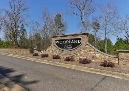 Woodland Hills by Reliant Homes in Loganville - photo 0 0