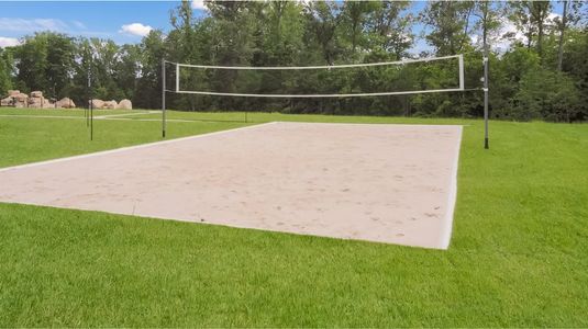 Trace at Olde Towne: Ardmore Collection 37