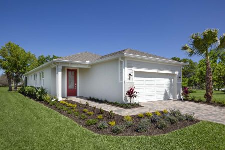 The Preserve at La Paloma by Mattamy Homes in Sun City Center - photo 7 7