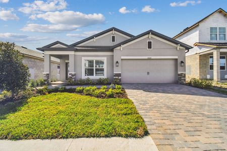 Hawthorne Ranch by M/I Homes in Lakeland - photo 18 18