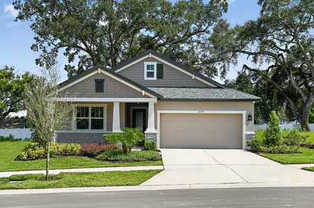 Tamarack at Two Rivers by William Ryan Homes in Zephyrhills - photo 4 4