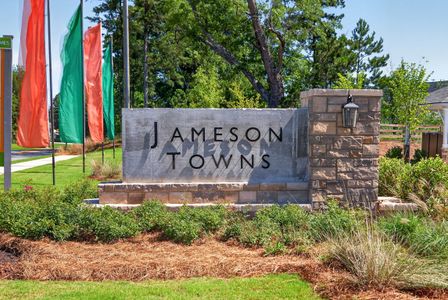 Jameson Towns by Smith Douglas Homes in Villa Rica - image