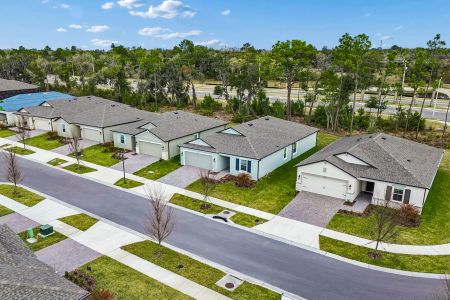 Berry Bay by M/I Homes in Wimauma - image 14