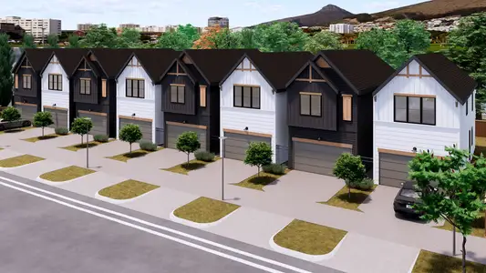 Cebra Oaks by ONYX Residential Group in Houston - image 2