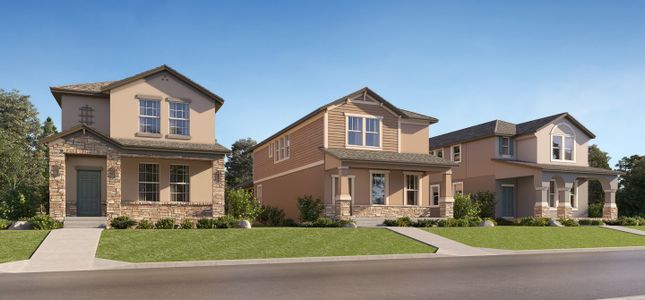 Longleaf by Lennar in New Port Richey - image