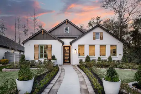 ARTAVIA: 50ft. lots 1