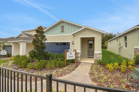 Reserve at Hammock Oaks by Dream Finders Homes in Lady Lake - image
