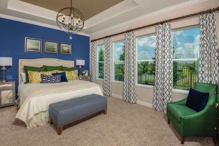 Waterset Cottage Series by David Weekley Homes in Apollo Beach - photo 41 41