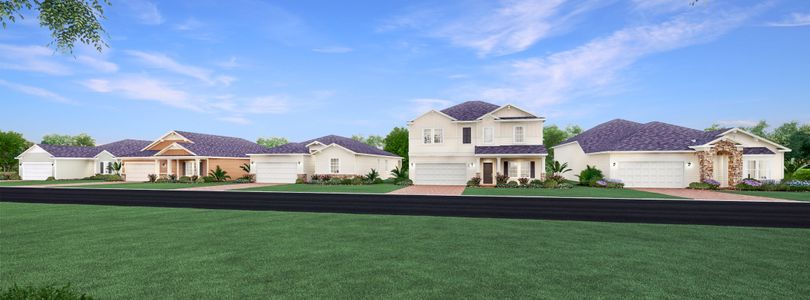 Tara Forest East by Lennar in Alachua - image