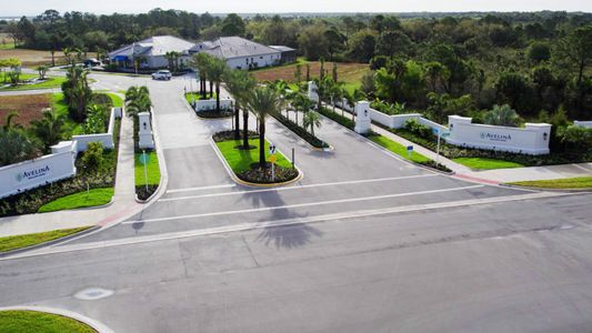 Avelina by Neal Communities in Venice - image