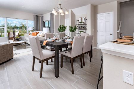 Thompson Village Townhomes by Landsea Homes in Apopka - photo 10 10