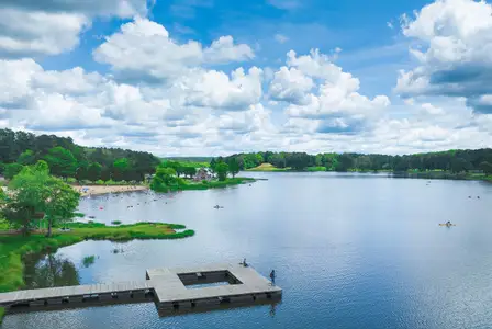 Woodland Creek: Woodland Creek 40' Front Entry Designer by Lennar in Dallas - image