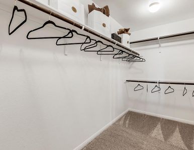 Vistas of Austin by Milestone Community Builders in Austin - photo 20 20
