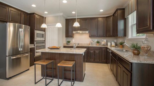 Haines Ridge by Maronda Homes in Haines City - photo 13 13